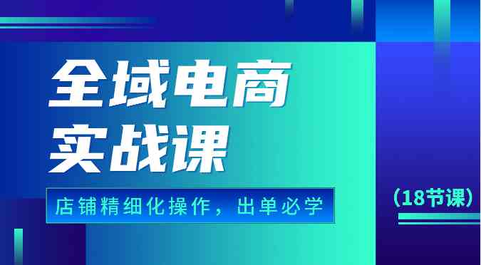 全域电商实战课，个人店铺精细化操作流程，出单必学内容（18节课）-耐玩网创