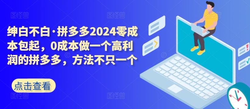 拼多多2024零成本包起，0成本做一个高利润的拼多多，方法不只一个-耐玩网创