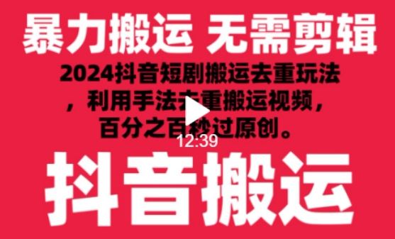 2024最新抖音搬运技术，抖音短剧视频去重，手法搬运，利用工具去重，达到秒过原创的效果【揭秘】-耐玩网创