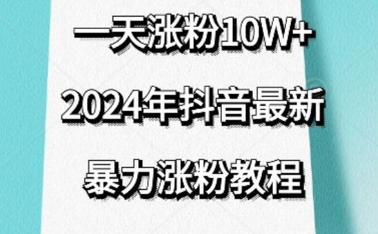 抖音最新暴力涨粉教程，视频去重，一天涨粉10w+，效果太暴力了，刷新你们的认知【揭秘】-耐玩网创