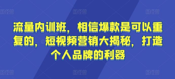流量内训班，相信爆款是可以重复的，短视频营销大揭秘，打造个人品牌的利器-耐玩网创