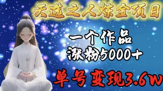 天选之人炼金项目，一个作品涨粉5000+，单号变现3.6w【揭秘】-耐玩网创
