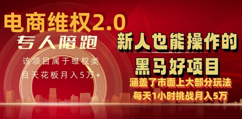 电商维权 4.0 如何做到月入 5 万+每天 1 小时新人也能快速上手【仅揭秘】-耐玩网创