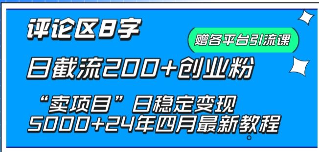 抖音评论区8字日截流200+创业粉 “卖项目”日稳定变现5000+【揭秘】-耐玩网创