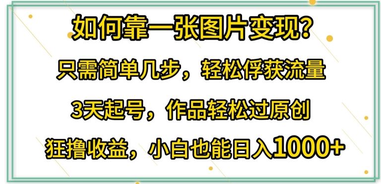 如何靠一张图片变现?只需简单几步，轻松俘获流量，3天起号，作品轻松过原创【揭秘】-耐玩网创