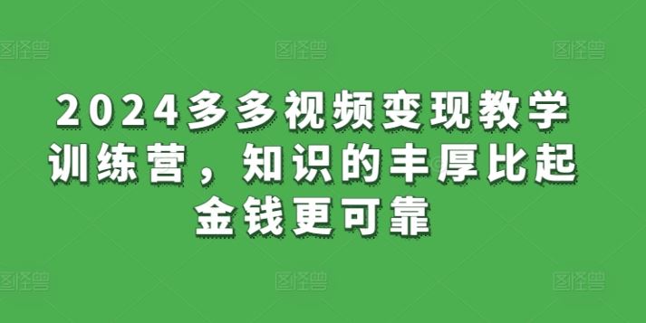 2024多多视频变现教学训练营，知识的丰厚比起金钱更可靠-耐玩网创