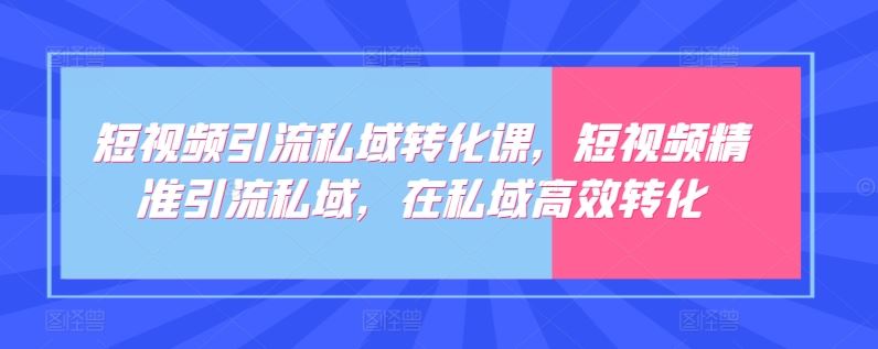 短视频引流私域转化课，短视频精准引流私域，在私域高效转化-耐玩网创