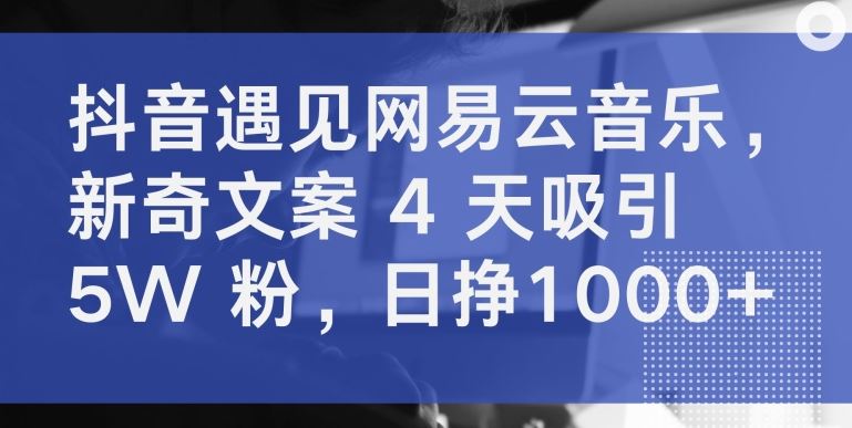 抖音遇见网易云音乐，新奇文案 4 天吸引 5W 粉，日挣1000+【揭秘】-耐玩网创