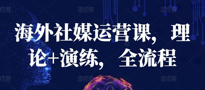 海外社媒运营课，理论+演练，全流程-耐玩网创