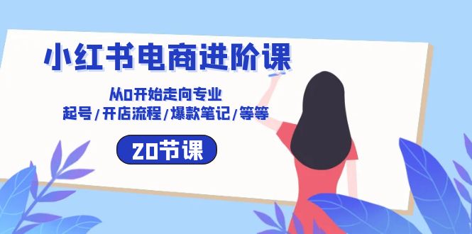 小红书电商进阶课：从0开始走向专业 起号/开店流程/爆款笔记/等等（20节）-耐玩网创