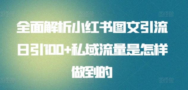 全面解析小红书图文引流日引100+私域流量是怎样做到的【揭秘】-耐玩网创