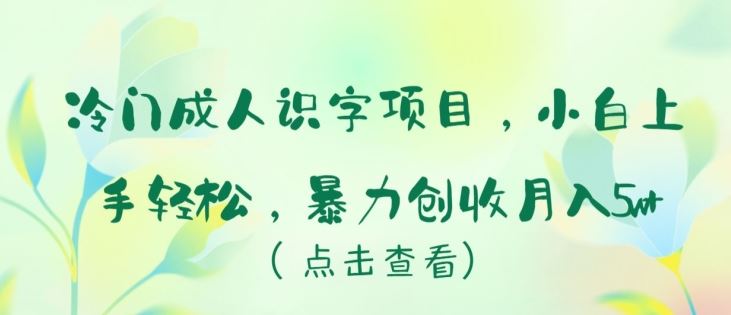 冷门成人识字项目，小白上手轻松，暴力创收月入5w+【揭秘】-耐玩网创