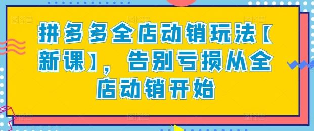 拼多多全店动销玩法【新课】，告别亏损从全店动销开始-耐玩网创
