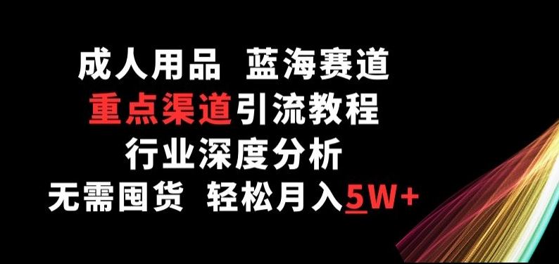 成人用品，蓝海赛道，重点渠道引流教程，行业深度分析，无需囤货，轻松月入5W+【揭秘】-耐玩网创