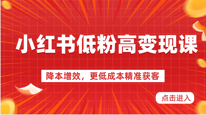 小红书低粉高变现课-降本增效，更低成本精准获客，小红书必爆的流量密码-耐玩网创