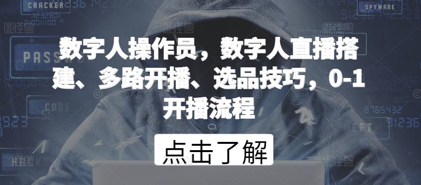 数字人操作员，数字人直播搭建、多路开播、选品技巧，0-1开播流程-耐玩网创