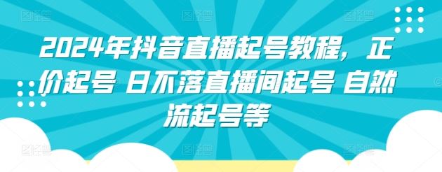 2024年抖音直播起号教程，正价起号 日不落直播间起号 自然流起号等-耐玩网创