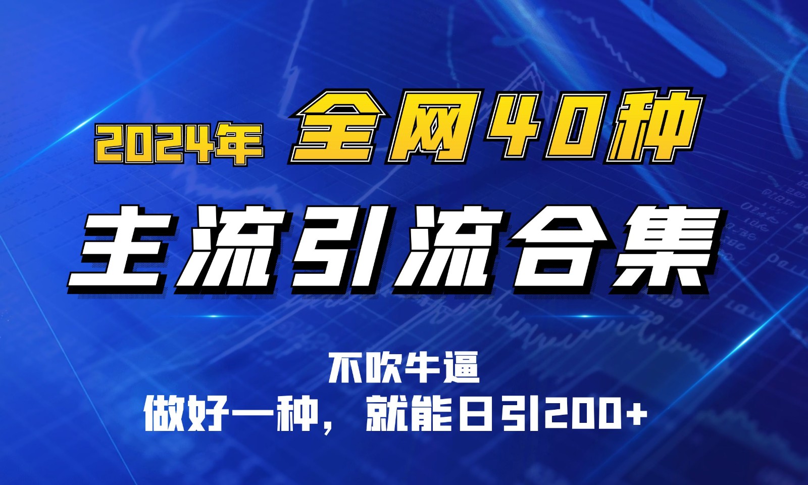 2024年全网40种暴力引流合计，做好一样就能日引100+-耐玩网创