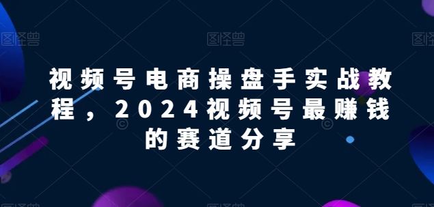 视频号电商实战教程，2024视频号最赚钱的赛道分享-耐玩网创