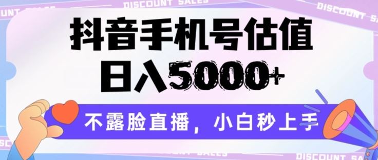 抖音手机号估值，日入5000+，不露脸直播，小白秒上手【揭秘】-耐玩网创