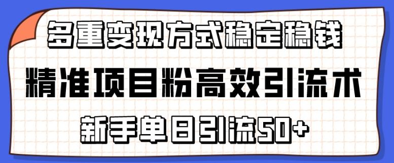 精准项目粉高效引流术，新手单日引流50+，多重变现方式稳定赚钱【揭秘】-耐玩网创