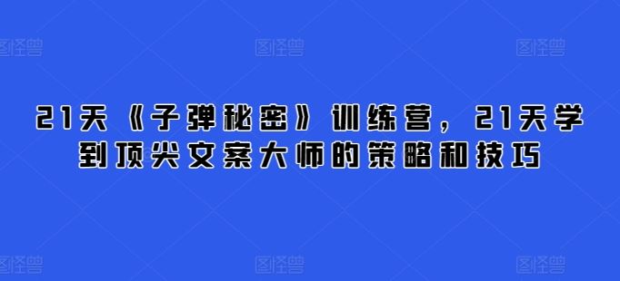 21天《子弹秘密》训练营，21天学到顶尖文案大师的策略和技巧-耐玩网创