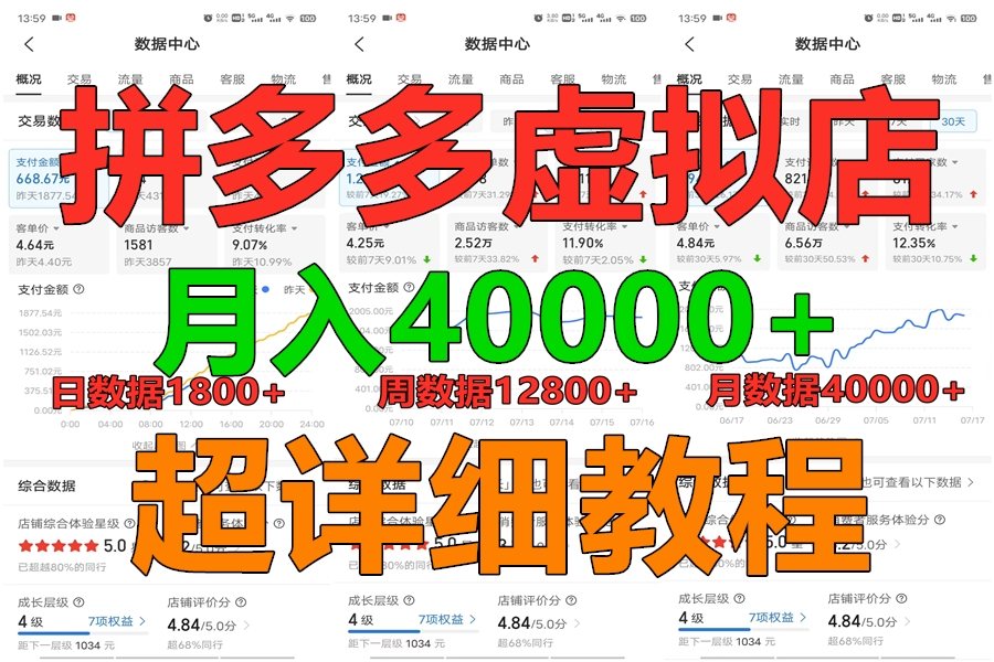 拼多多虚拟电商训练营月入40000+，全网最详细，你做你也行，暴利稳定长久-耐玩网创