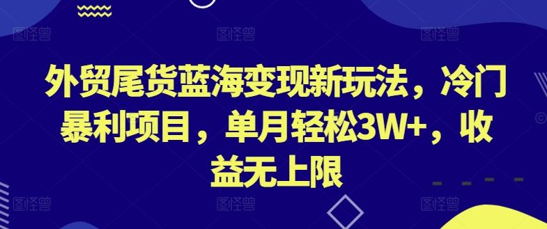 外贸尾货蓝海变现新玩法，冷门暴利项目，单月轻松3W+，收益无上限【揭秘】-耐玩网创