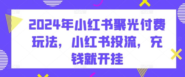 2024年小红书聚光付费玩法，小红书投流，充钱就开挂-耐玩网创