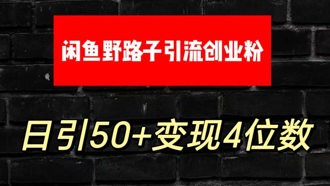 大眼闲鱼野路子引流创业粉，日引50+单日变现四位数-耐玩网创