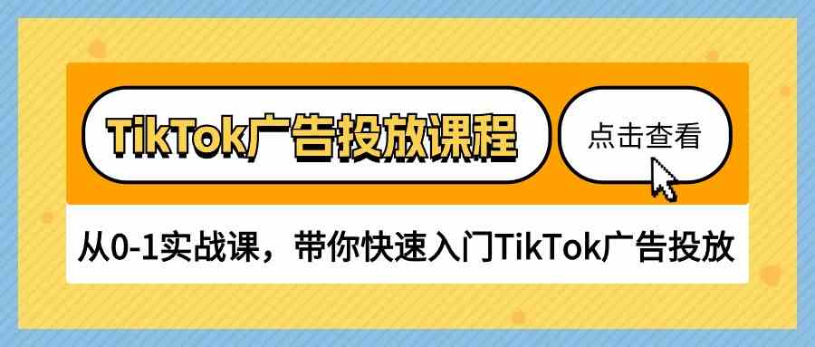 TikTok广告投放课程，从0-1实战课，带你快速入门TikTok广告投放（30节课）-耐玩网创