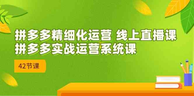 拼多多精细化运营 线上直播课：拼多多实战运营系统课（更新47节）-耐玩网创