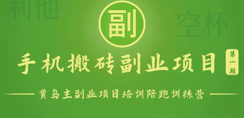 手机搬砖小副业项目训练营1.0，能用手机做的简单小副业-耐玩网创