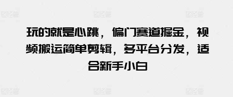 玩的就是心跳，偏门赛道掘金，视频搬运简单剪辑，多平台分发，适合新手小白【揭秘】-耐玩网创