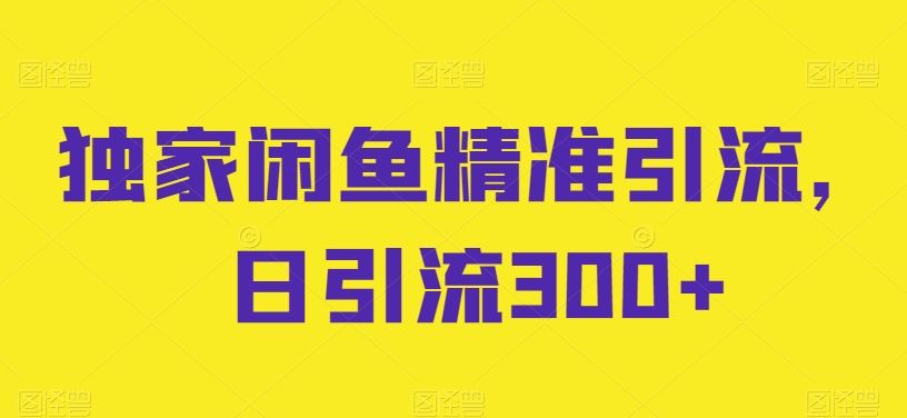 独家闲鱼精准引流，日引流300+【揭秘】-耐玩网创