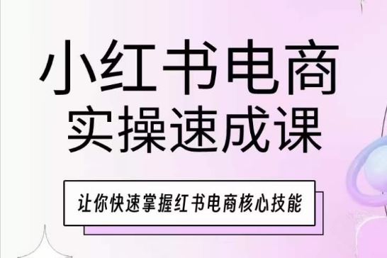 小红书电商实操速成课，让你快速掌握红书电商核心技能-耐玩网创