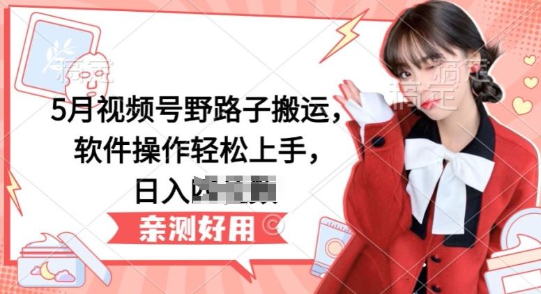 5月视频号野路子搬运，软件操作轻松上手，日入三位数【揭秘】-耐玩网创