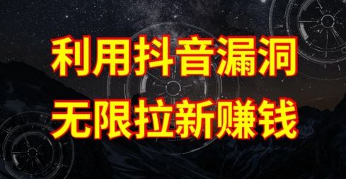 利用抖音链接漏洞，无限拉新赚钱【漏洞原理+操作流程】【揭秘】-耐玩网创