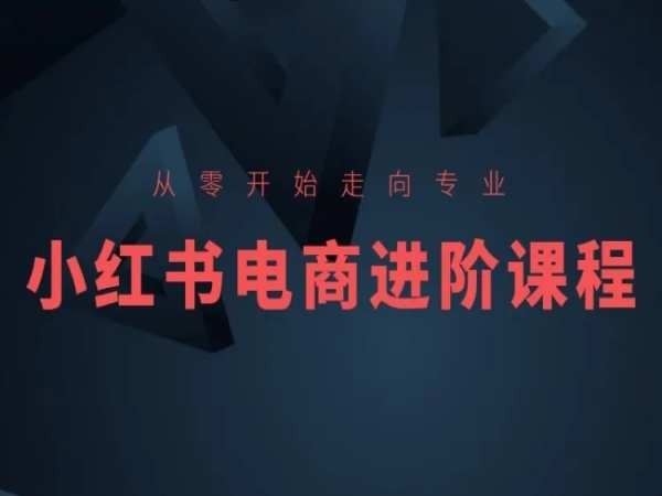从零开始走向专业，小红书电商进阶课程-耐玩网创