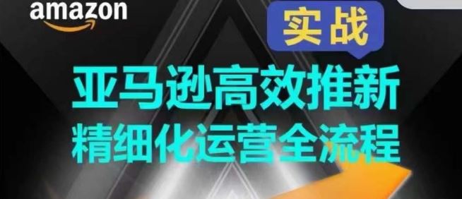 亚马逊高效推新精细化运营全流程，全方位、快速拉升产品排名和销量!-耐玩网创