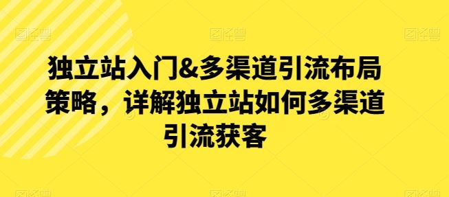 独立站入门&多渠道引流布局策略，详解独立站如何多渠道引流获客-耐玩网创