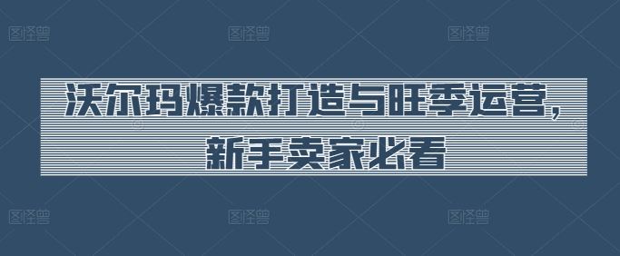 沃尔玛爆款打造与旺季运营，新手卖家必看-耐玩网创