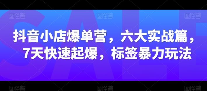 抖音小店爆单营，六大实战篇，7天快速起爆，标签暴力玩法-耐玩网创