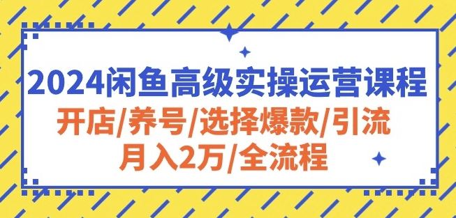 2024闲鱼高级实操运营课程：开店/养号/选择爆款/引流/月入2万/全流程-耐玩网创