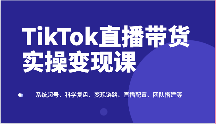 TikTok直播带货实操变现课：系统起号、科学复盘、变现链路、直播配置、团队搭建等-耐玩网创