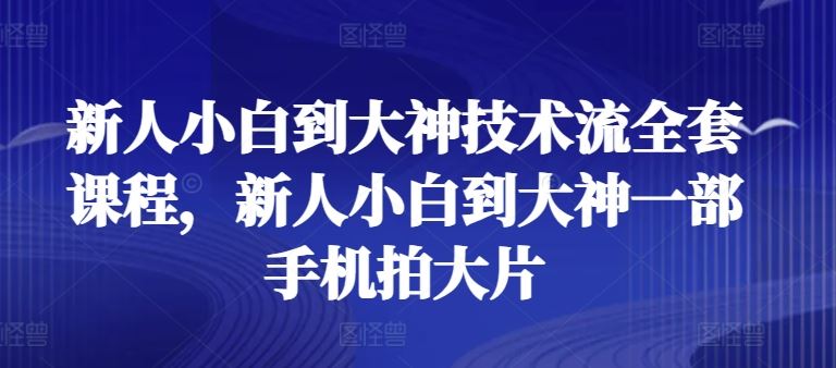 新人小白到大神技术流全套课程，新人小白到大神一部手机拍大片-耐玩网创