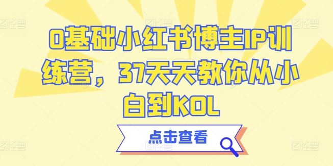 0基础小红书博主IP训练营，37天天教你从小白到KOL-耐玩网创