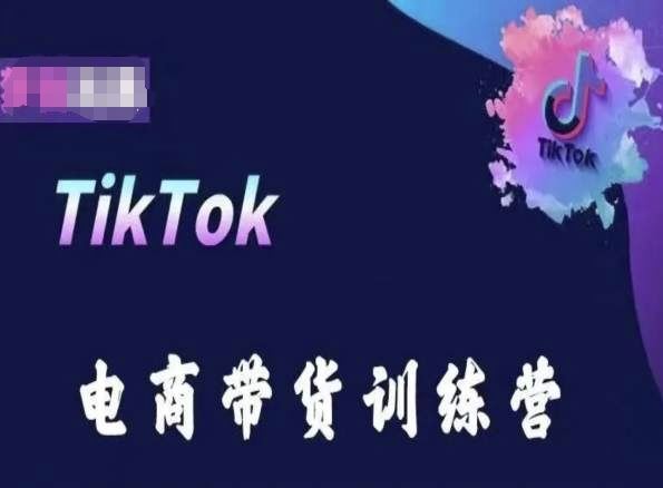 TikTok电商带货训练营，跟随时代潮流，跨境掘金-耐玩网创