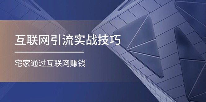 互联网引流实操技巧(适合微商，吸引宝妈)，宅家通过互联网赚钱（17节）-耐玩网创