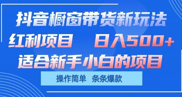 抖音橱窗带货新玩法，单日收益几张，操作简单，条条爆款【揭秘】-耐玩网创